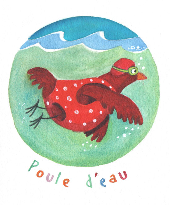 Poule d'eau.jpg